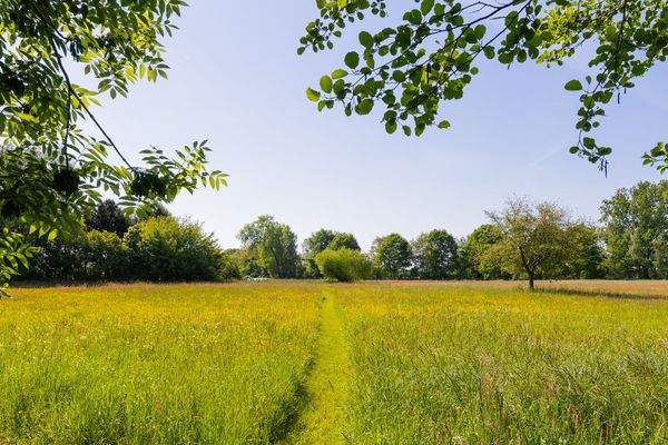 Riesiges Grundstück