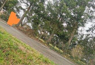 IMG_20260408_153622.jpg