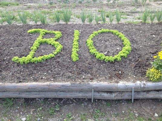 Mittersill - Gärtnerei.JPG