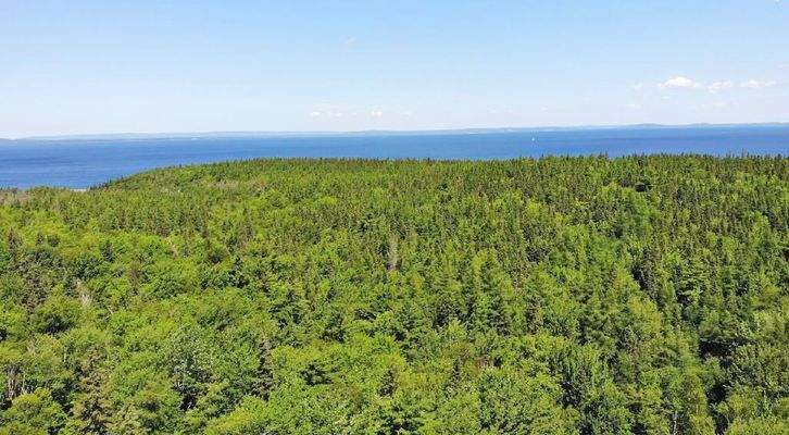 Cape Breton - Roberta - Einzigartiges 79-Hektar-Ar