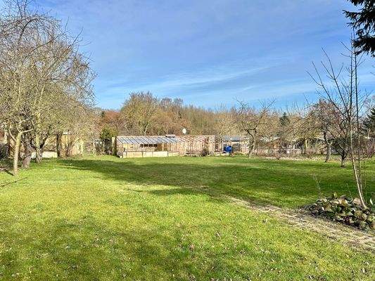 Blick in den schönen Garten