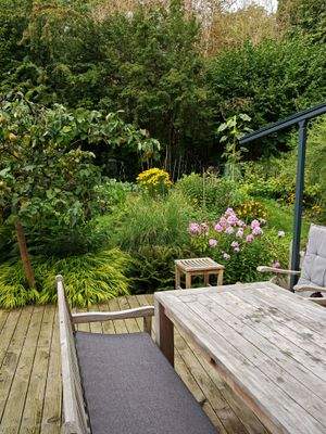 Blick in den Garten.jpg