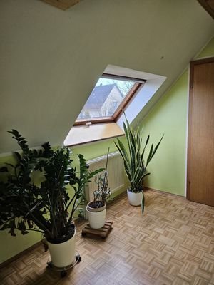 05.JPG