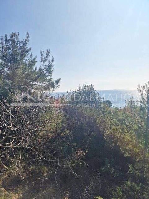 Murter-Kornati Bauernhöfe, Landwirtschaft, Murter-Kornati Forstwirtschaft