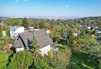 Drohnenaufnahme mit Wienblick