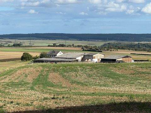 Münzenberg - Münzenberg Bauernhöfe, Landwirtschaft, Münzenberg - Münzenberg Forstwirtschaft