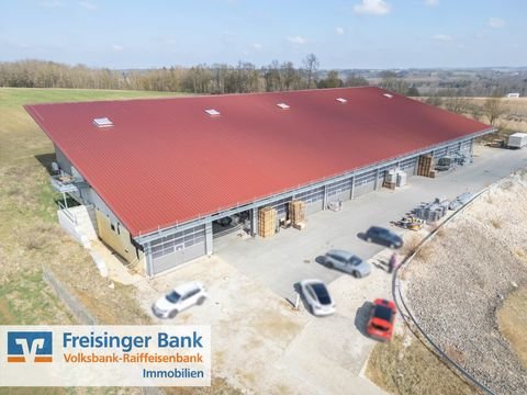 Langenbach Halle, Langenbach Hallenfläche