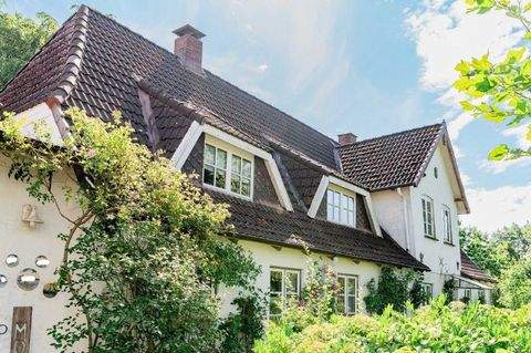 Stolk Häuser, Stolk Haus kaufen