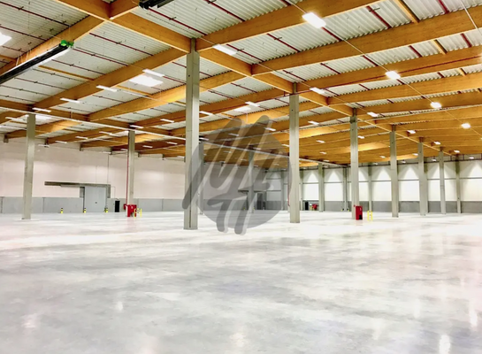 INFOS UNTER: 06171-586000