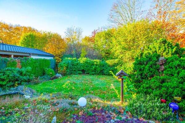 DHH-22946-Trittau-Thonhauser-Immobilien-GmbH-1-12