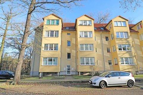 Dessau-Roßlau Wohnungen, Dessau-Roßlau Wohnung kaufen