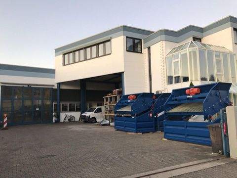 Viernheim Halle, Viernheim Hallenfläche