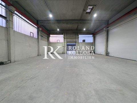 Sarstedt Halle, Sarstedt Hallenfläche