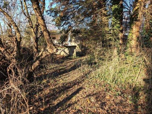 Verwilderter Garten mit Gartenlaube