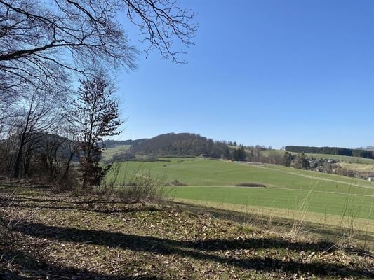 Bild2