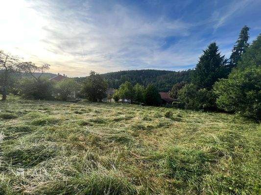 ...mit Ausblick ins Würmtal