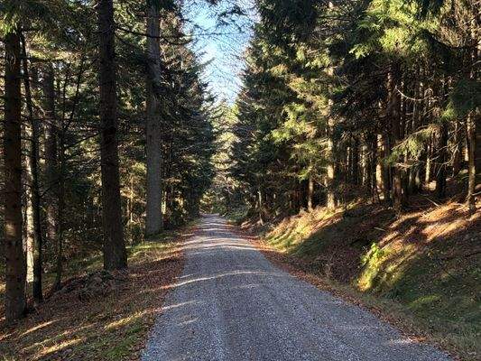 2025-11-05 11.03.04.jpg