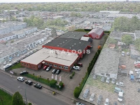 Elmshorn Halle, Elmshorn Hallenfläche