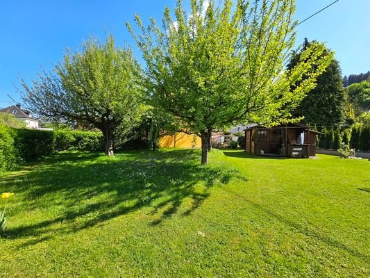 Obstbaum Bestand