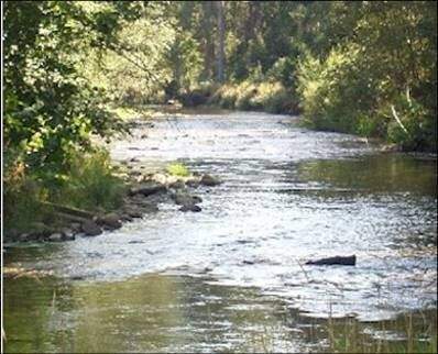 Nötsch im Gailtal Bauernhöfe, Landwirtschaft, Nötsch im Gailtal Forstwirtschaft