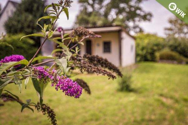 WOHNTRAUM IM GRÜNEN...