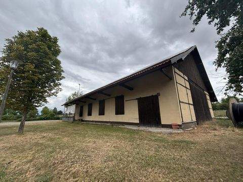 Bergtheim Halle, Bergtheim Hallenfläche