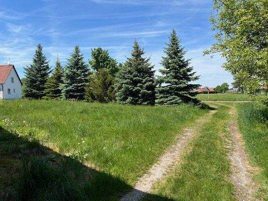 Grundstück mit Zufahrt Nord.jpg