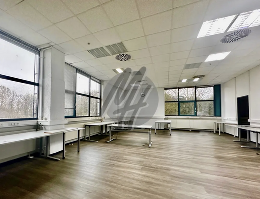 INFOS UNTER: 06171-586000