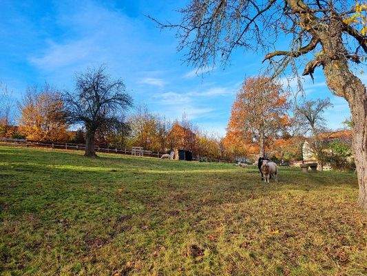 Eindruck vom oberen Grundstücksbereich