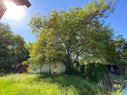 Gerätehäuschen hinten