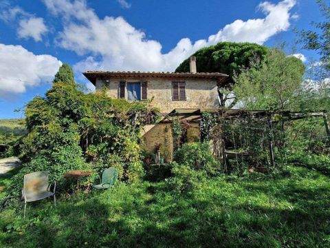 Vinci Häuser, Vinci Haus kaufen