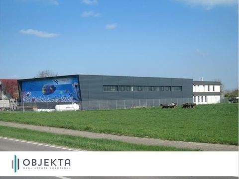 Staig Halle, Staig Hallenfläche