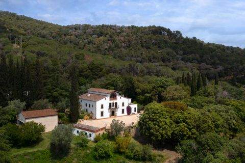 ARGENTONA Häuser, ARGENTONA Haus kaufen