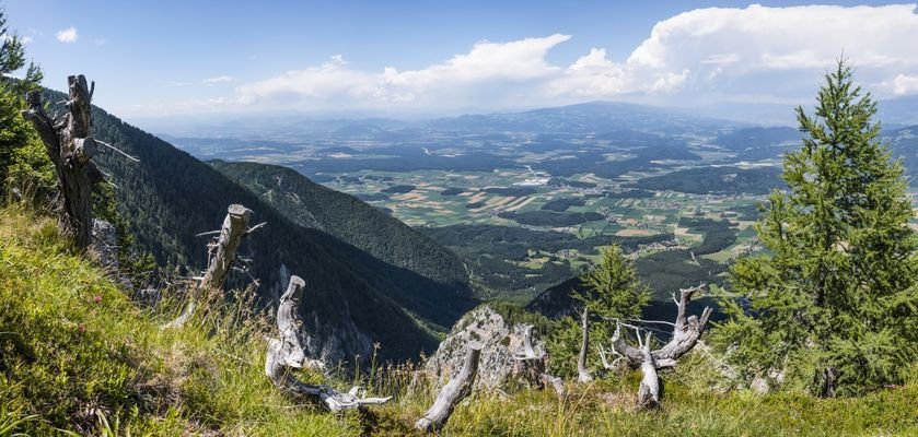 Flowtrail Petzen - einer der längsten in Europa