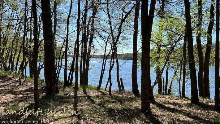 Am Hochufer des Untersees - 2 km vom Grundstück e