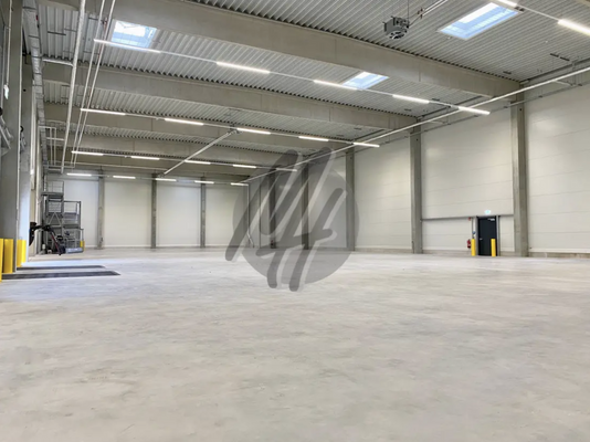 INFOS UNTER: 06171-586000