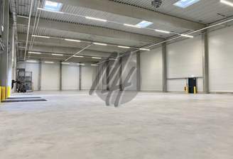 INFOS UNTER: 06171-586000