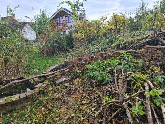 Herbstansicht / Rückzugsort für unsere Tierwelt