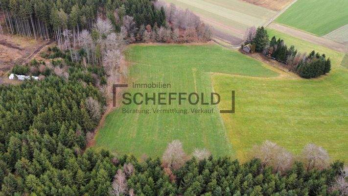 Wiesen Luftbildaufnahme