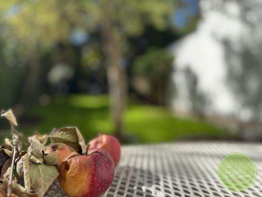 Spätsommer Impression 