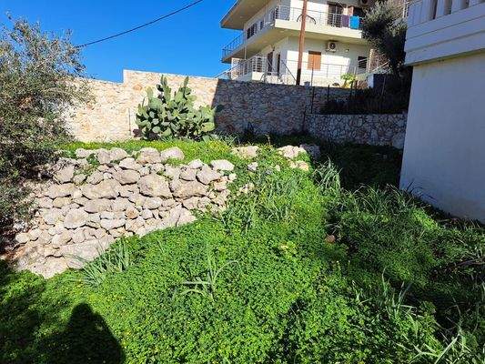 WhatsApp Image 2025-01-30 at 15.11.09_fab5e6a0.jpg