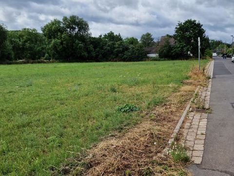 Euskirchen Bauernhöfe, Landwirtschaft, Euskirchen Forstwirtschaft