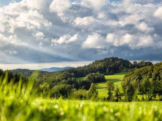 HERZOG1 - Weiden i. d. Oberpfalz