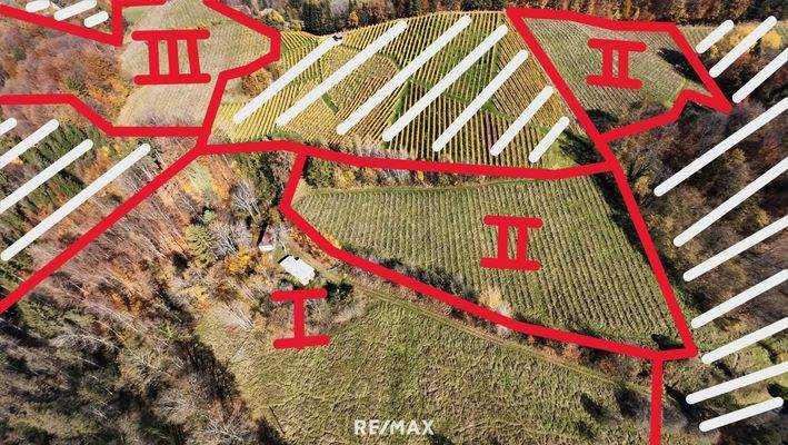 Gesamte Liegenschaft ungefährer Grenzverlauf