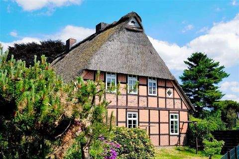 Himmelpforten , Niederelbe Häuser, Himmelpforten , Niederelbe Haus kaufen