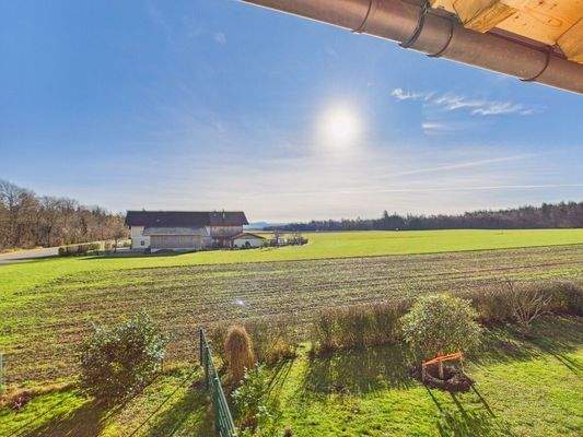 Ausblick in die Alpen