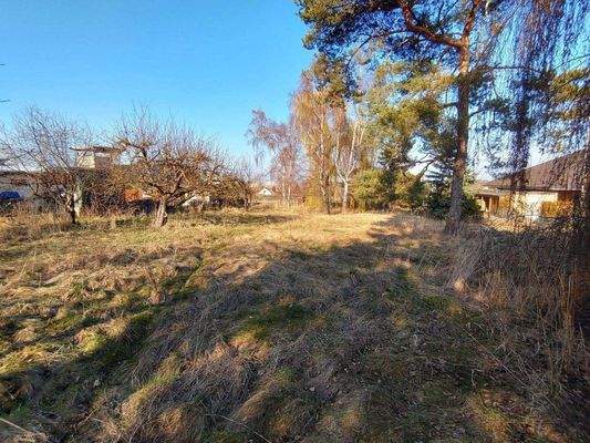 Blick auf das Wohngrundstück