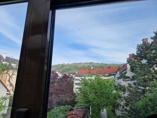 Ausblick
