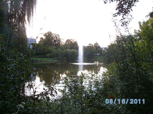 Blick auf den Schwanenweiher