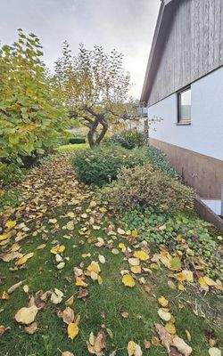 Außenansicht Rückseite Garten